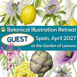GUEST at Retreat in Spain April 2027