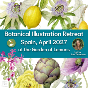 Botanical Illustration Retreat in Spain April 2027