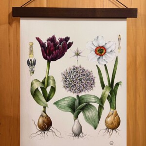 Wendy Hollender's Rustic Canvas Prints