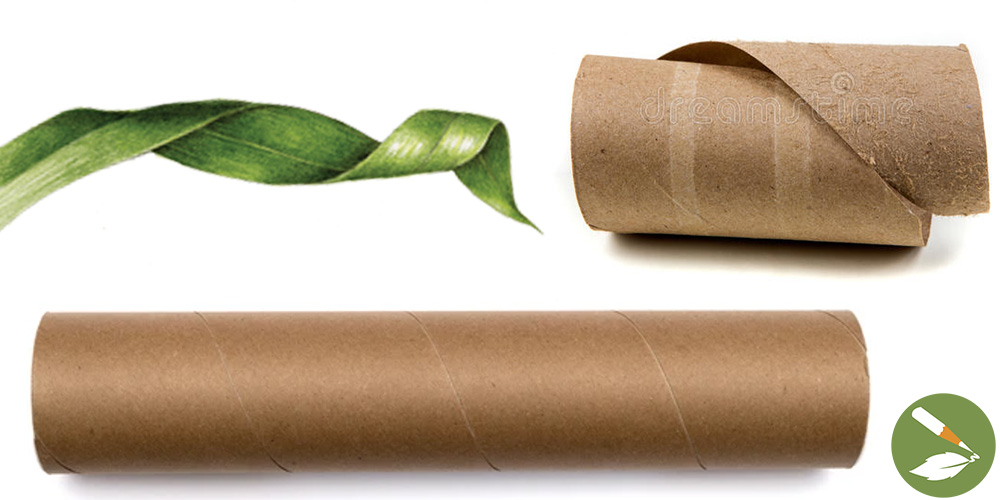 curling leaf by Wendy Hollender (left top), toilet paper roll uncurling (right top), paper towel cardboard tube (bottom)