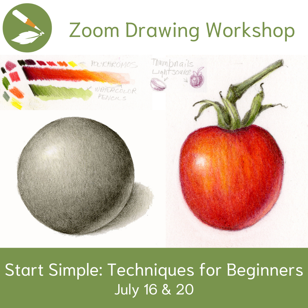 https://drawbotanical.com/wp-content/uploads/zoom_88_start_simple_beginner.png