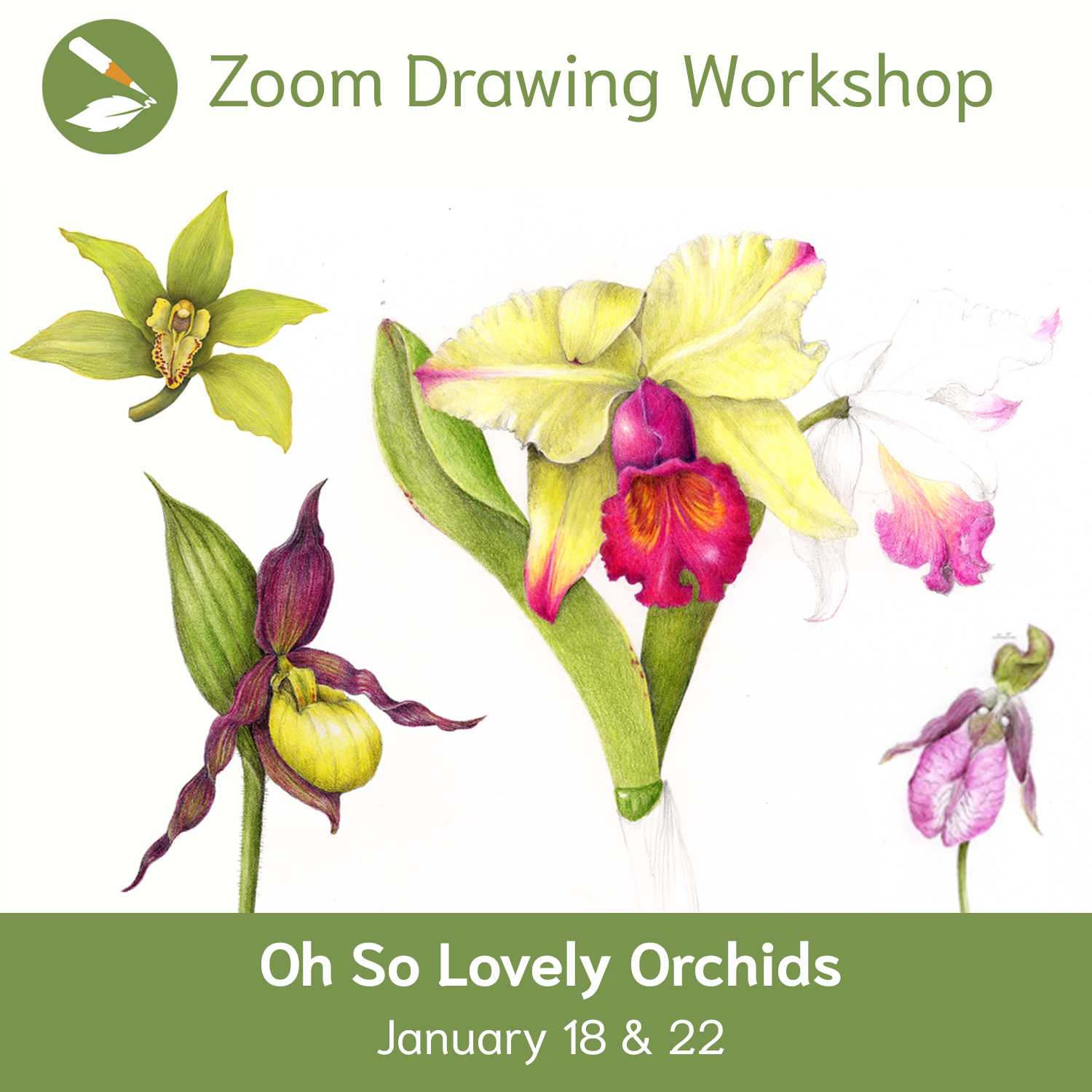zoom__131_orchids