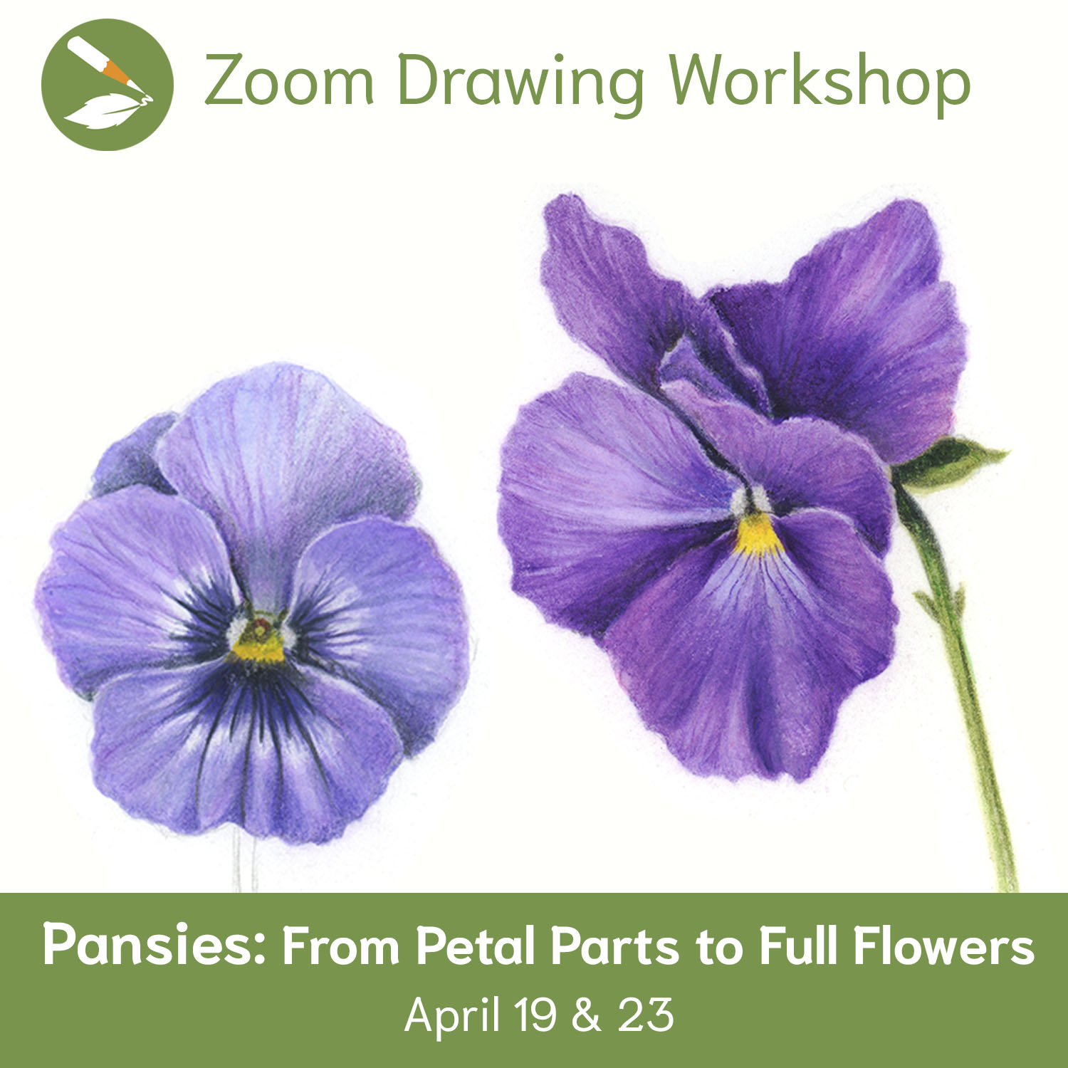 Zoom Workshop 135: Pansies