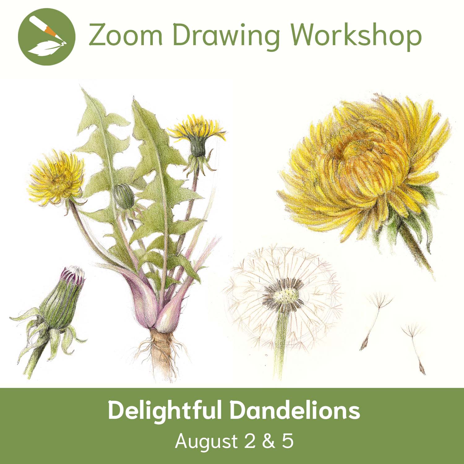 Zoom Workshop 139: Delightful Dandelions
