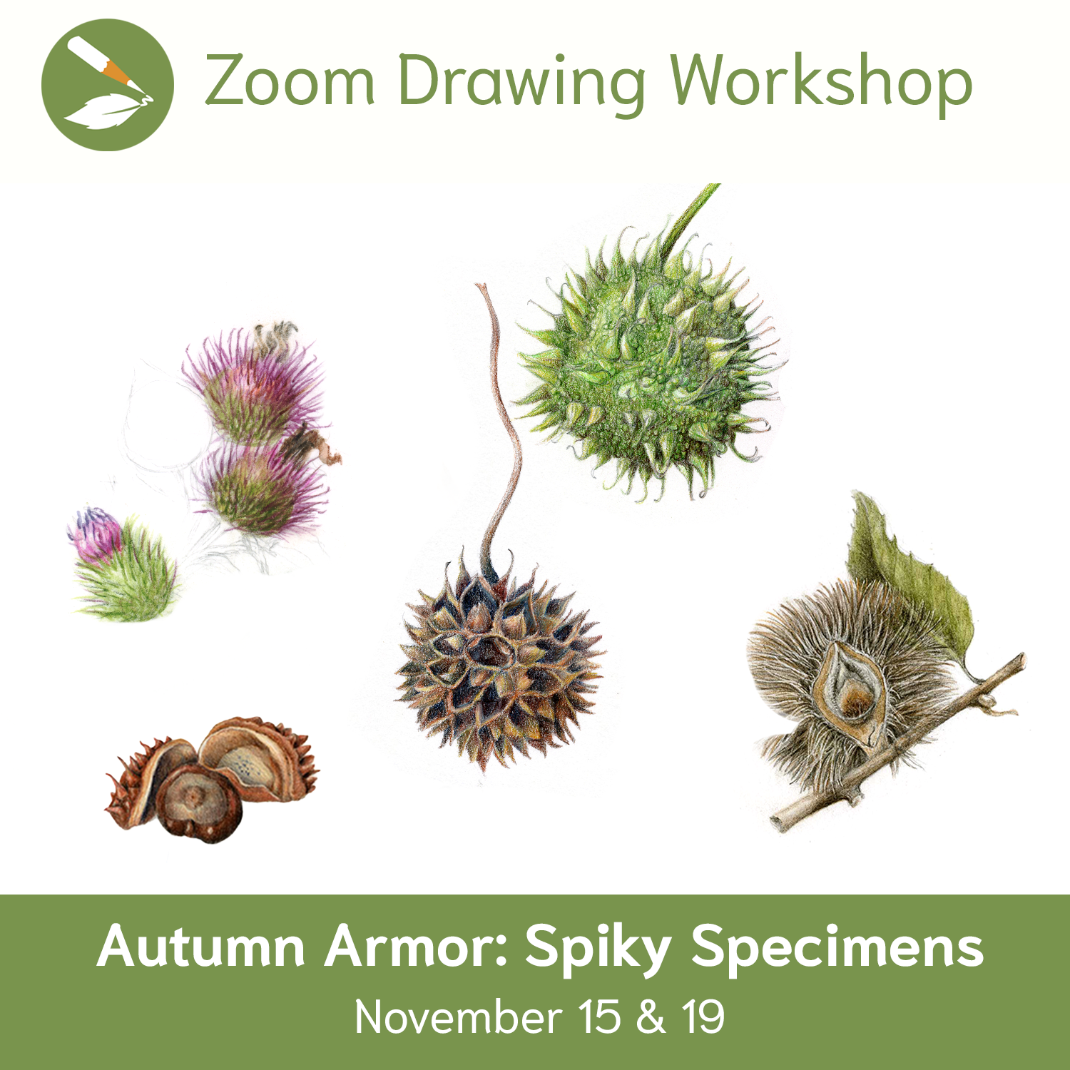 Zoom Workshop 145: Autumn Armor: Spiky Specimens